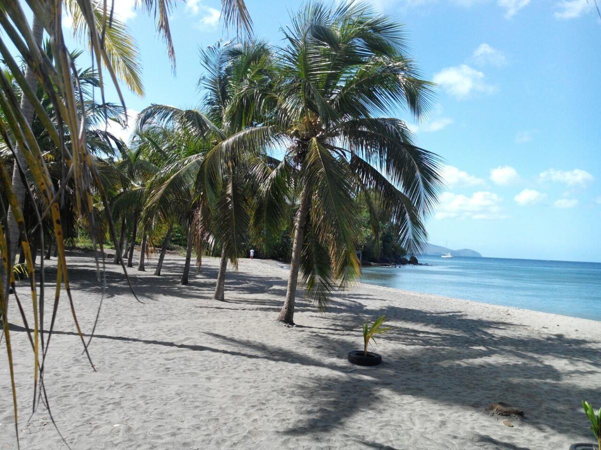 Madiana Plage Schoelcher Zewnętrze zdjęcie