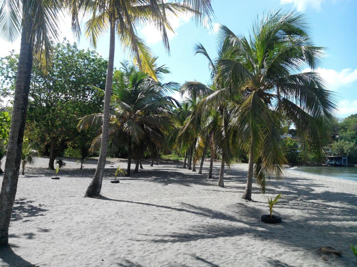 Madiana Plage Schoelcher Zewnętrze zdjęcie