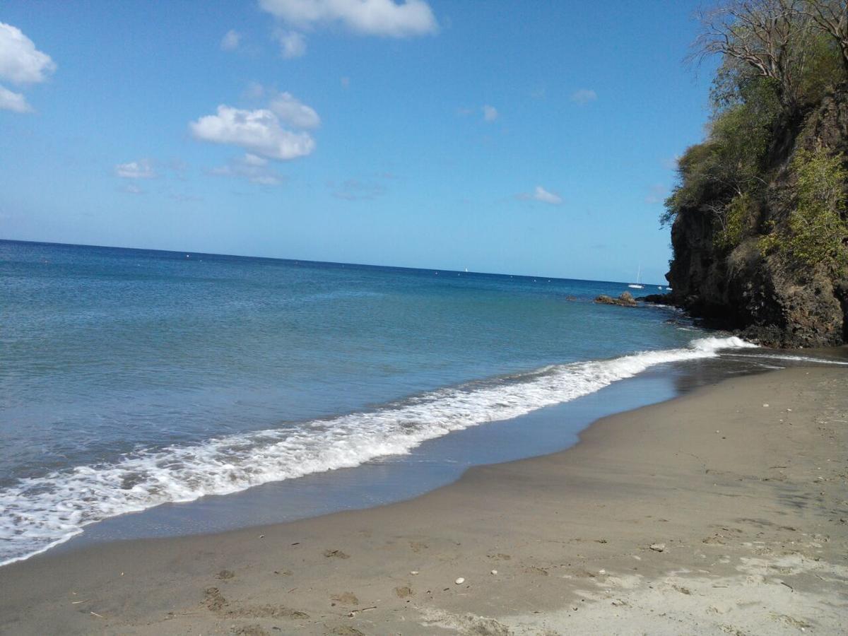 Madiana Plage Schoelcher Zewnętrze zdjęcie